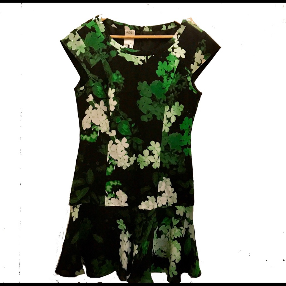 ALI RO, green floral silk cocktail dress, size 6.